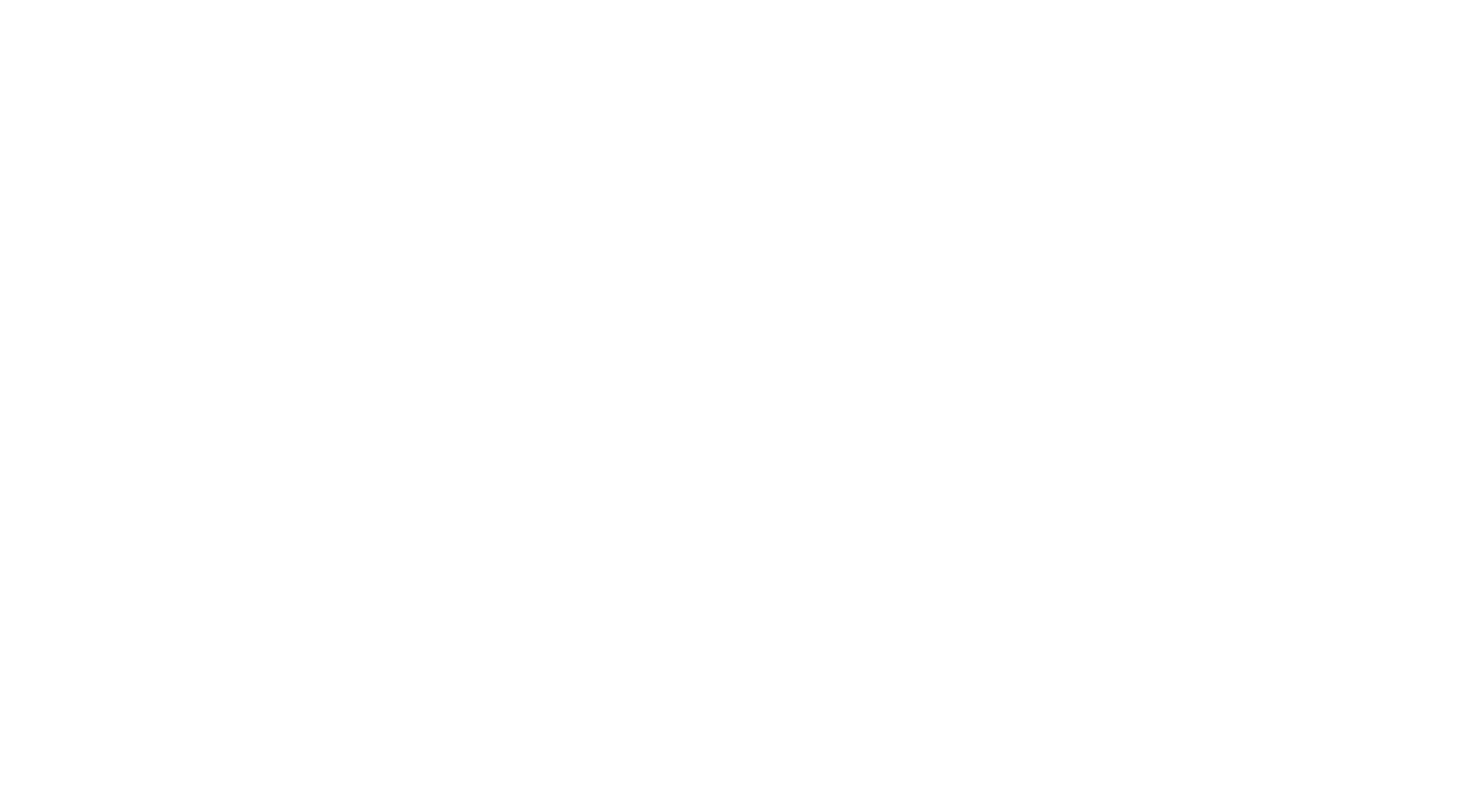THE GRAVEL FEST Logo